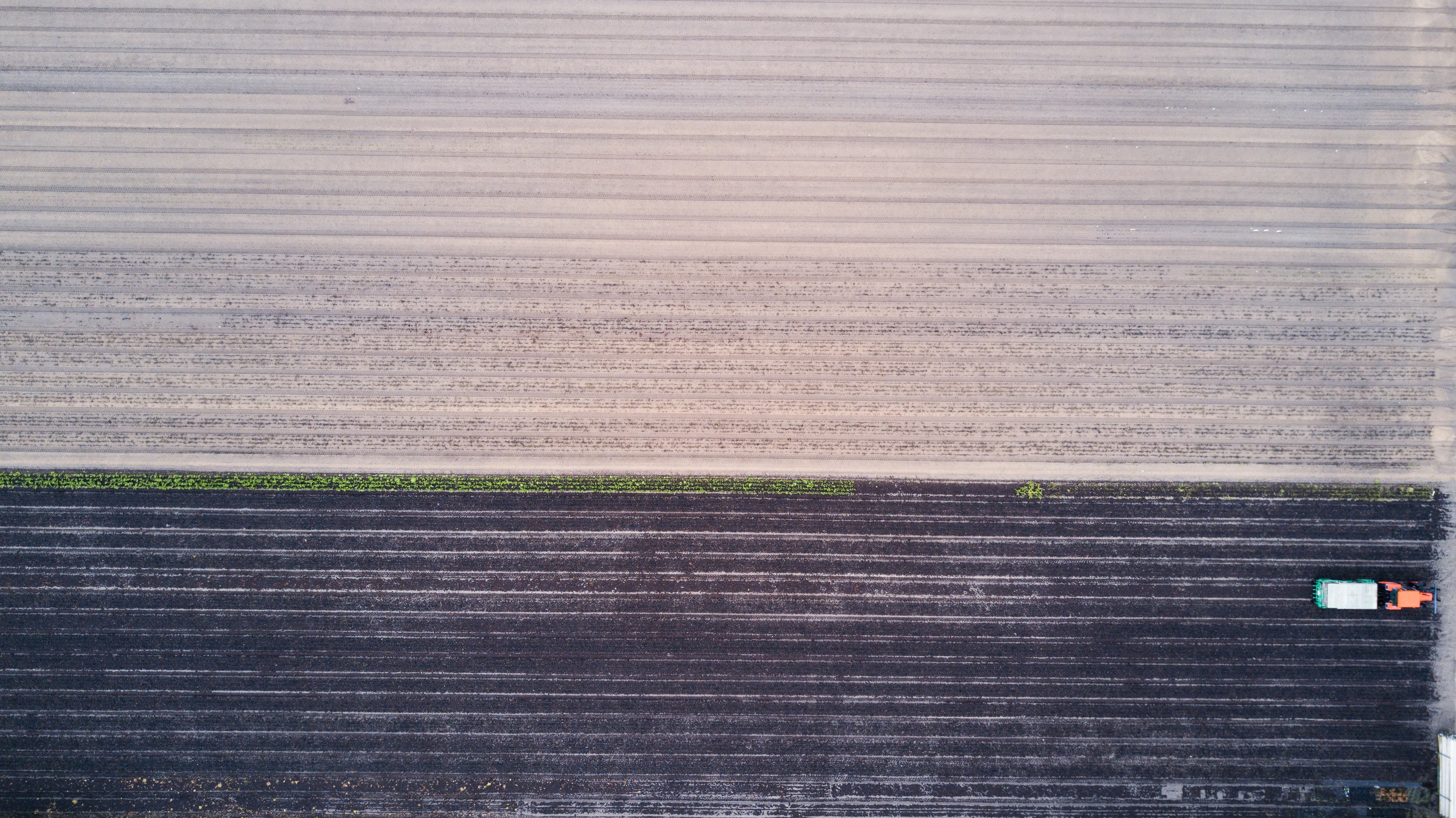 Field