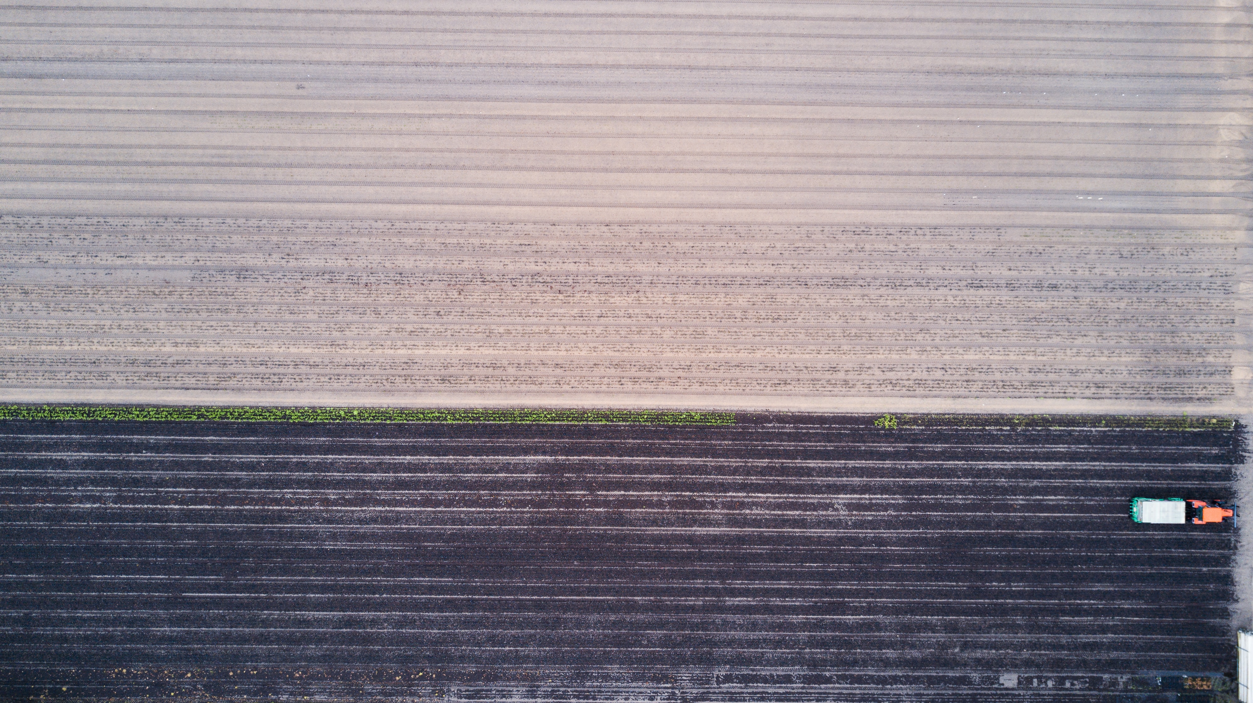 a field seen from above